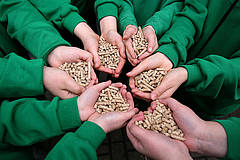 Holzpellets